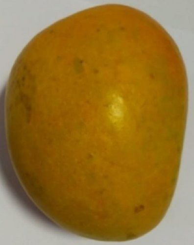1 Kilogram Packaging Size Yellow Sweet Tasty And Delicious Taste Alphonso Mango