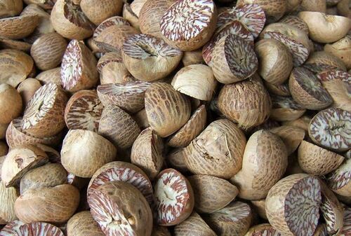 Areca Nut 