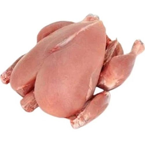 Frozen Chicken - Skinless, 100% Pure, Good Quality, Non-Vegetarian | Gluten-Free, Low-Fat, Nutritious, Effective, Packaged for Kitchen Use