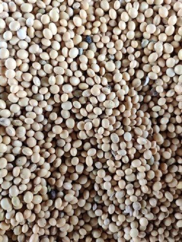 Guar Bean Seed For Making Oil And Food