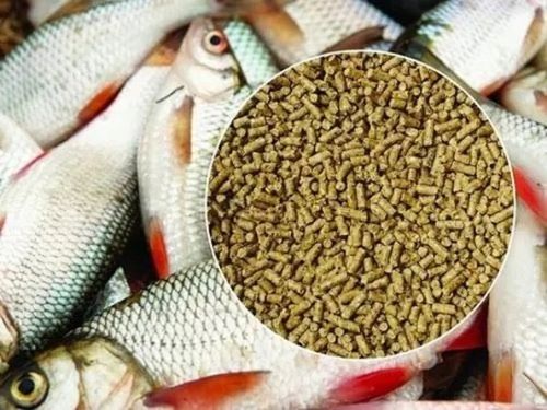 Stainless Steel Hygienically Prepared Brown Pure And Dried Nutritional Granular Form Fish Feed