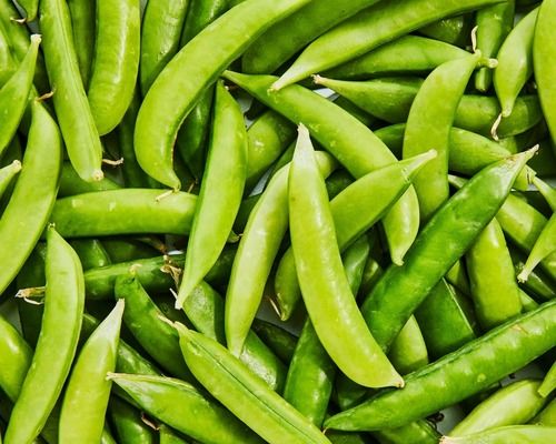 Pack Of 50 Kilogram 4 Days Shelf Life Seasoned Fresh Green Peas