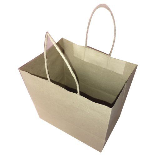 Easy to Carry Light Weighted Rectangular Single Compartment Plain Paper Carry Bags