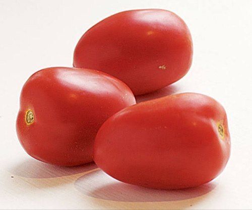 Pure Raw Oval Fresh Vegetable Hybrid Red Tomato