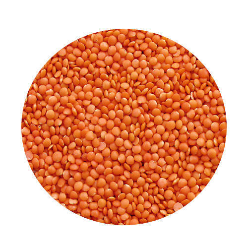 Indian Origin Normal Grain Size Organic Round Shaped Dried Red Masoor Dal,1 Kg 