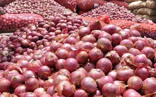 Natural And Organic Red Fresh Onion For Cooking Use