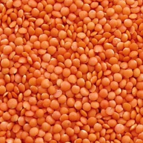 Silver Pack Of 25 Kilogram Semi Round Dried And Common Cultivation Masoor Dal