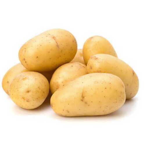 White Pesticide Free Fresh Potatoes, High In Nutritional Content And Are Rich In Taste