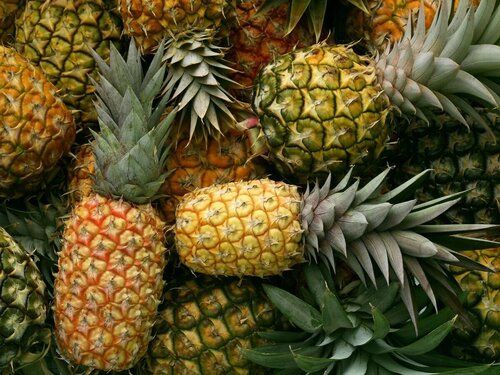 Indian Farm Fresh Sweet Non Peeled Whole Pineapple Fruit, Good For Digestion