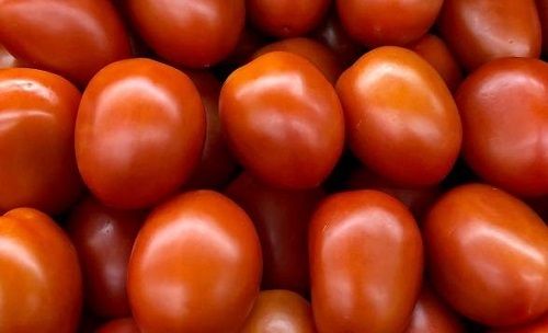 Multicolor Pack Of 1 Kilogram 2 Days Shelf Life Seasoned Red Juicy Fresh Tomato