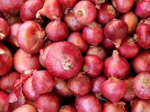 Pure And Natural Spherical Widely Cultivated Seasoned Raw Fresh Red Onion
