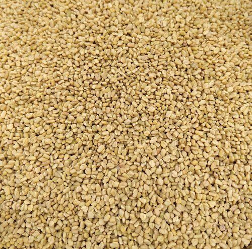 100% Pure and Unadulterated Rich In Fibers Methi Seeds