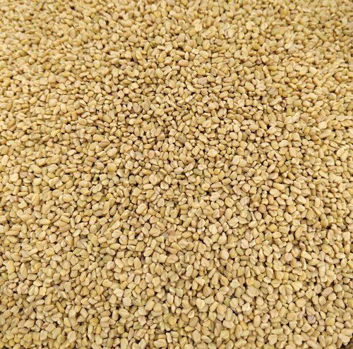 Yellow 100% Pure And Unadulterated Rich In Fibers Methi Seeds