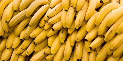 Commonly Cultivated Sweet And Fresh Riped Banana Fruit For Breakfast And Shake