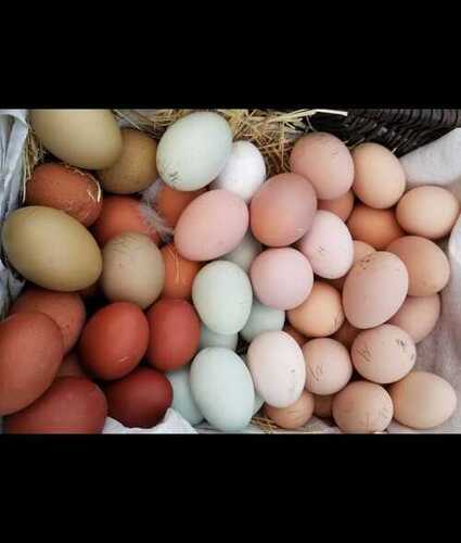 Hen Eggs Use For Bakery And Cooking, Good For Health, High In Protein