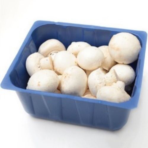 A Grade Commonly Cultivated Healthy And Fresh Button Mushroom 