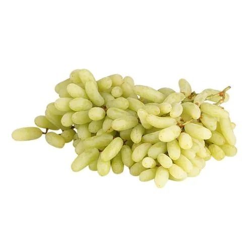 A Grade Sweet Taste Organic Cultivation Fresh Seedless Green Grapes Fruit