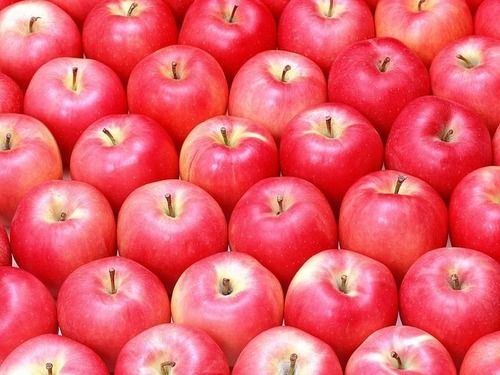 Highly Nutrious A Garde Organic Farm Fresh Kashmiri Red Apple Fruit