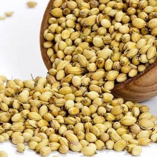 Pure And Dried Commonly Cultivated Round Hybrid Edible Coriander Seed