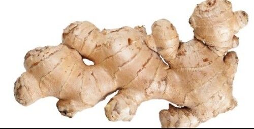 Pure And Fresh Common Cultivated A Grade Brown Ginger