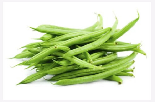 Pure And Natural Healthy Farm Fresh Raw Whole Green Beans Broken Ratio (%): 2%