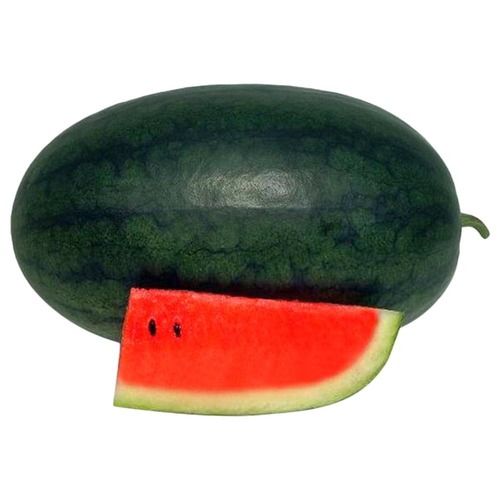 Sweet Taste Organically Cultivated Farm Fresh Watermelon Fruit