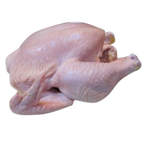 100% Pure And Fresh Dressed Broiler Chicken, High In Protein
