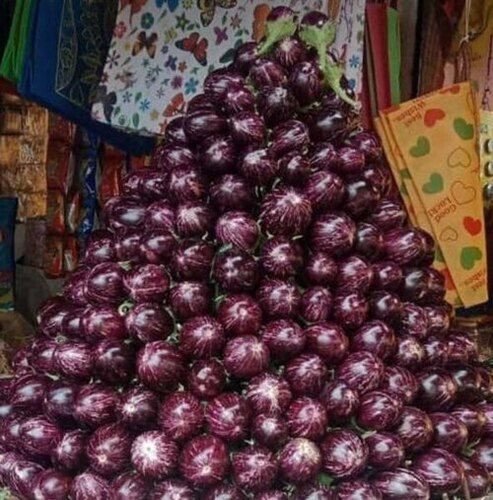 A Grade Fresh Brinjal