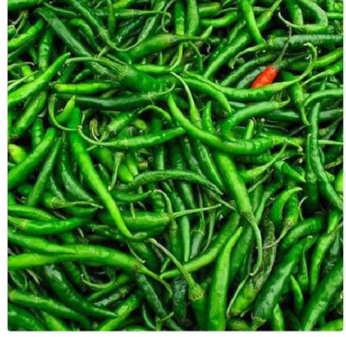 A Grade Pure And Fresh Raw Green Chillies 