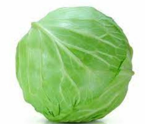 Pure And Fresh A Grade Round Shape Raw Whole Cabbage