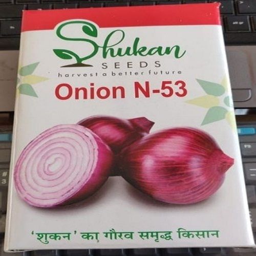 Red Onion N53 Seeds, Pack Size: 500