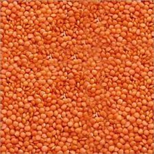  Nutrients Splitted Dried Original Red Masoor Dal For Up To Two Years