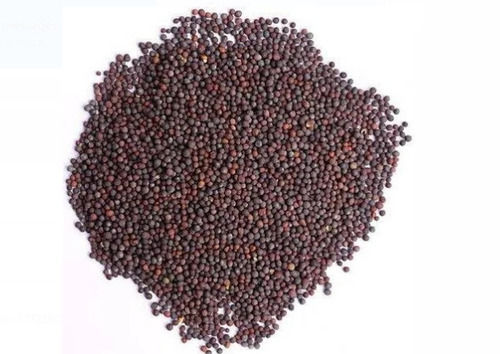 1 Kilogram Packaging Size Natural And Pure Black Mustard Seed 