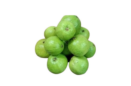 1 Kilogram Packaging Size Sweet Taste Open Air Cultivated Green Guava Application: Profesional