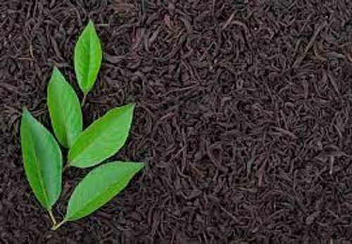 Stronger In Flavour Black Tea Leaves Beneficial For Heart Health Antioxidants