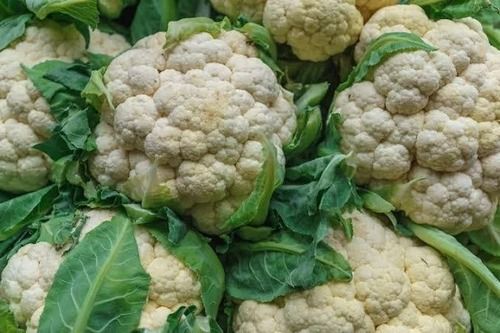 1 Kilogram Packaging Size Green And White Natural Cauliflower
