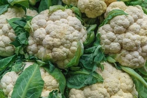 Grey 1 Kilogram Packaging Size Green And White Natural Cauliflower