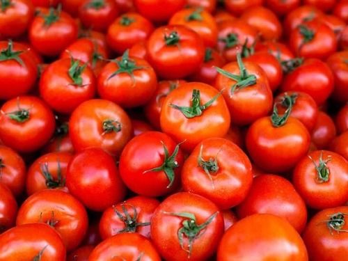 Silver 1 Kilogram Packaging Size Natural And Fresh Red Tomatoes 