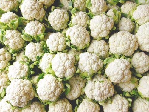 Good For Health Pesticide Free Commonly Cultivated Fresh Cauliflower Moisture (%): 25%