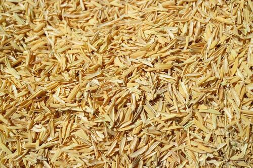 Organic Rice Husk, Packaging Size: 15 To 20 Kg With 12% Max Moisture