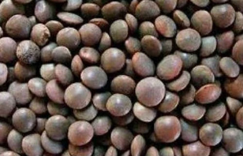 1 KG Round Whole Dried Common Cultivated 6 Month Shelf Life Black Masoor Dal