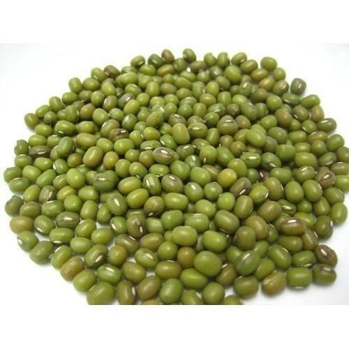 Cloth 1 Kilogram Pack Size Dried Common Cultivated Green Moong Seed