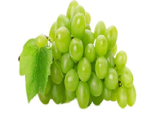 A Grade Indian Origin Nutrient Enriched Sweet And Sour Pure Fresh Grapes