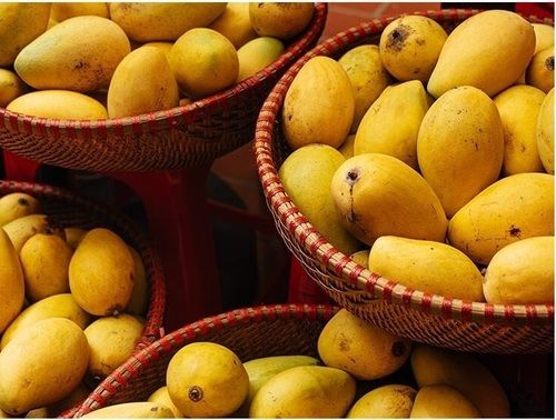 Silver Pack Of 1 Kilogram A Grade Sweet And Delicious Yellow Alphonso Mango