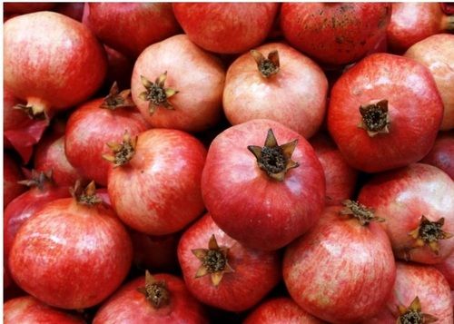 Pack Of 1 Kilogram A Grade Sweet Taste Non Glutinous Red Pomegranates