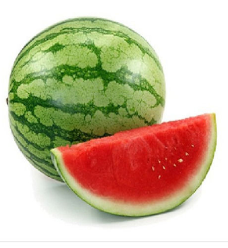 Pack Of 1 Kilogram Sweet Taste A Grade Green Watermelon 