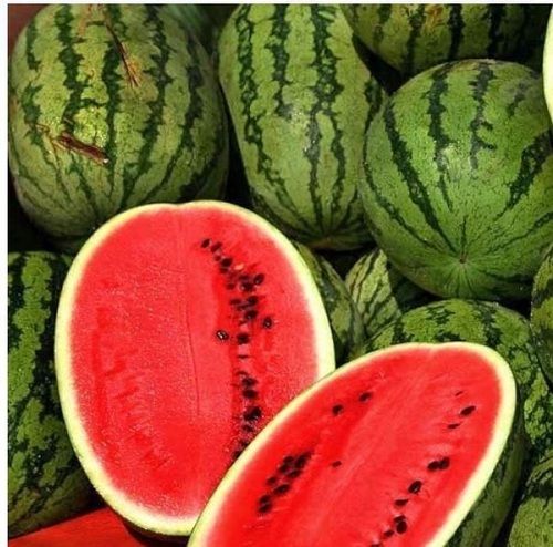 Red Watermelon