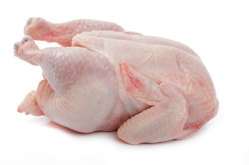 Broiler Headless Raw Chicken
