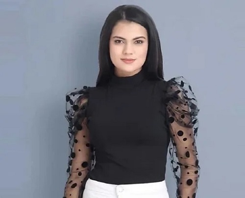 फुल स्लीव्स कॉटन फ़ैब्रिक डेली वियर वॉशेबल और ब्रीथेबल लेडीज़ फैंसी टॉप