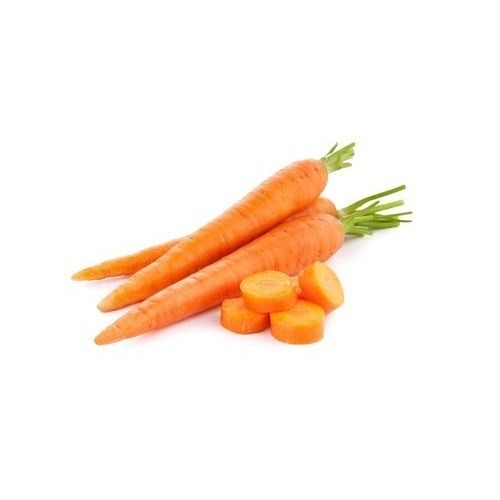 Naturally Grown Nutrient Rich Healthy Conical Shaped Farm Fresh Organic Carrot Moisture (%): 87.5%